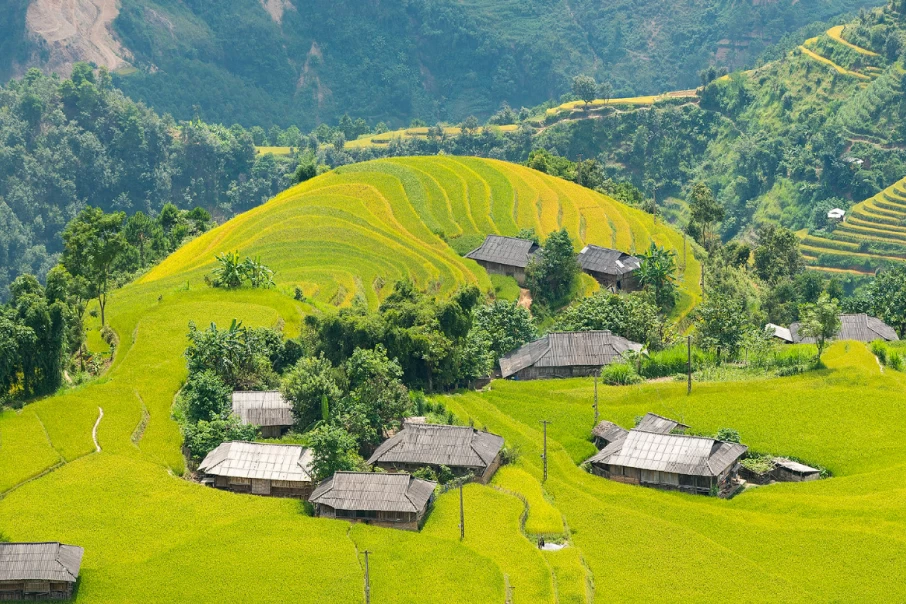 Tips For Traveling To Phung Village